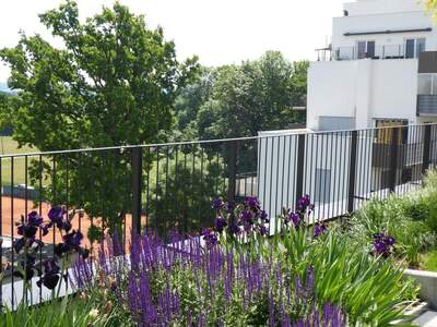 Apartment provisionsfrei mieten in 8055 Steiermark