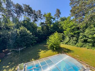 Haus mit Garten kaufen in 2491 Zillingdorf (Bild 3)