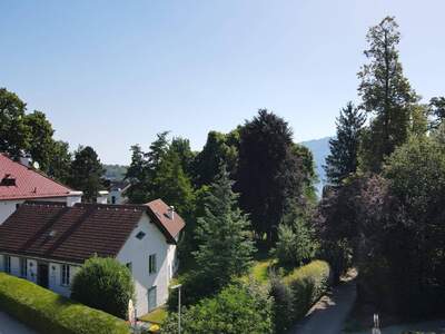 Anlageobjekt kaufen in 4813 Altmünster