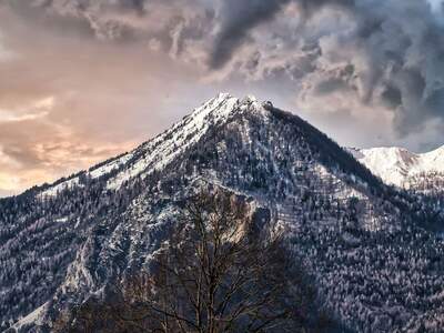Grundstück kaufen in 9184 St. Jakob (Bild 3)