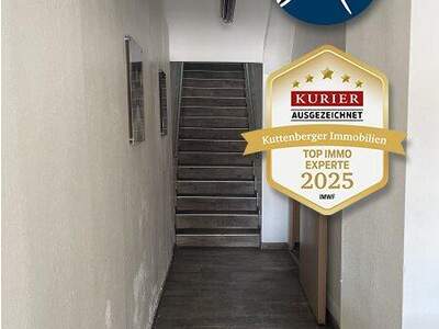 Wohnanlage kaufen in 2700 Wr. Neustadt (Bild 4)