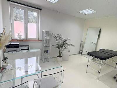 Gewerbeobjekt mieten in 8053 Graz (Bild 1)