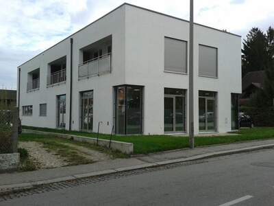 Gewerbeobjekt mieten in 4910 Ried (Bild 4)