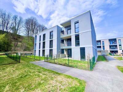 Wohnung provisionsfrei kaufen in 5760 Saalfelden