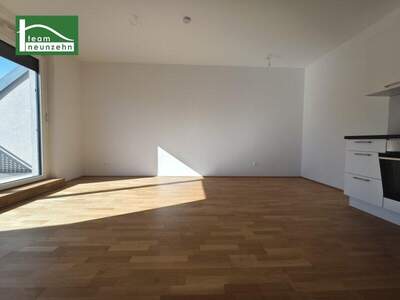 Terrassenwohnung mieten in 3100 St. Pölten (Bild 3)