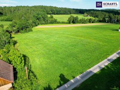 Grundstück kaufen in 8045 Weinitzen (Bild 3)