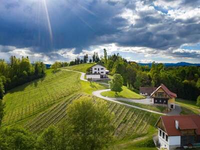 Gewerbeobjekt kaufen in 8544 Pölfing