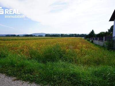 Grundstück kaufen in 3430 Frauenhofen (Bild 3)