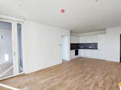 Terrassenwohnung mieten in 1220 Wien (Bild 1)