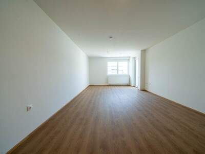 Terrassenwohnung mieten in 2104 Spillern (Bild 4)