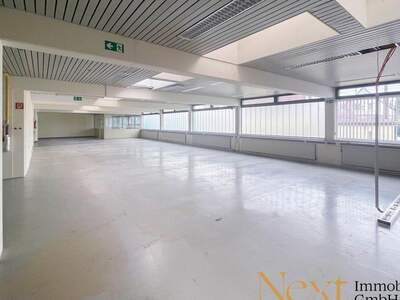 Gewerbeobjekt mieten in 4061 Pasching (Bild 3)