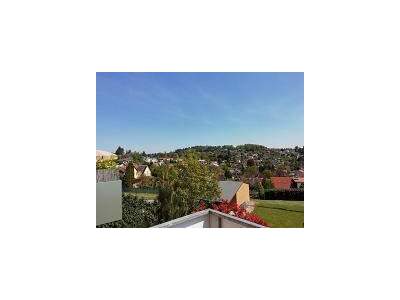 Wohnung mieten in 8042 Graz