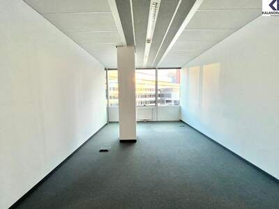 Gewerbeobjekt mieten in 1220 Wien (Bild 3)