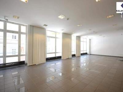 Gewerbeobjekt mieten in 1010 Wien