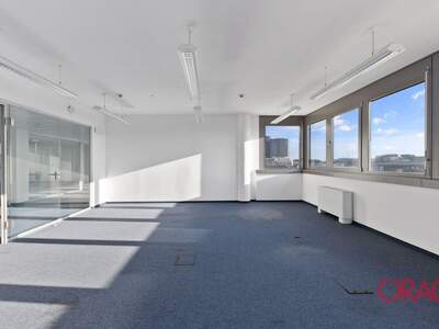 Gewerbeobjekt mieten in 1030 Wien (Bild 1)