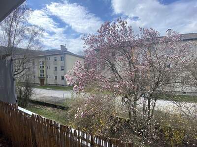 Apartment provisionsfrei mieten in 6020 Tirol