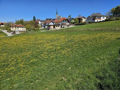Grundstück kaufen in 4372 Sankt Georgen