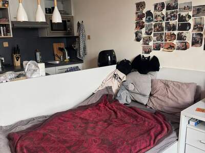 Wohnung mieten in 1100 Wien (Bild 4)