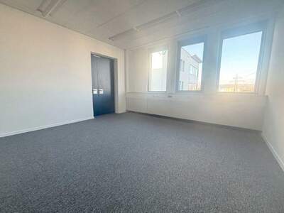 Gewerbeobjekt mieten in 2351 Wiener Neudorf (Bild 4)