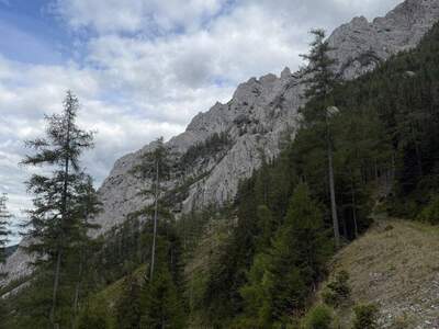 Gewerbeobjekt kaufen in 8600 Kapfenberg