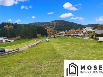 Grundstück kaufen in 8831 Niederwölz (Bild 1)