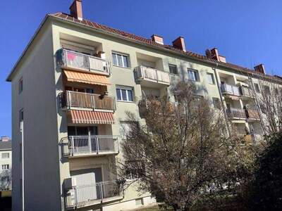 Wohnung mieten in 8160 Weiz