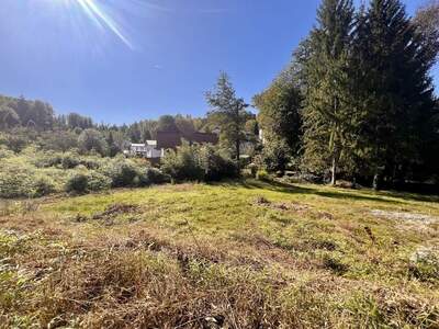 Grundstück kaufen in 8075 Hart