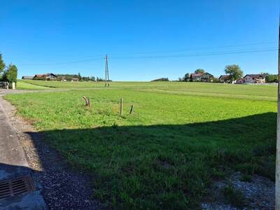 Grundstück provisionsfrei kaufen in 5120 Sankt Pantaleon