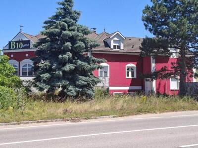 Haus kaufen in 2462 Wilfleinsdorf