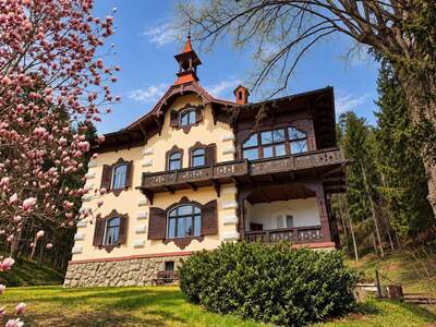 Haus kaufen in 2823 Pitten