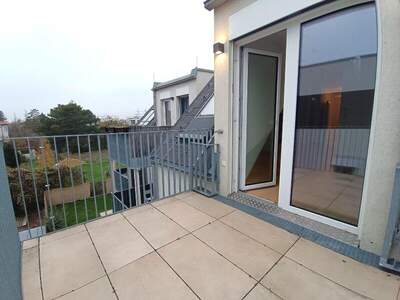 Terrassenwohnung mieten in 1100 Wien (Bild 3)