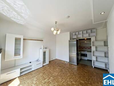Terrassenwohnung mieten in 1140 Wien (Bild 2)