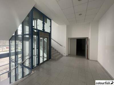 Gewerbeobjekt mieten in 1230 Wien (Bild 3)