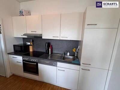 Terrassenwohnung mieten in 8020 Graz (Bild 4)