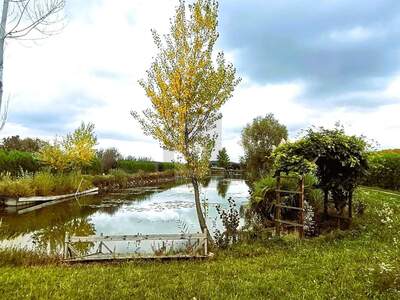 Grundstück kaufen in 7064 Oslip