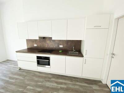 Terrassenwohnung mieten in 1100 Wien (Bild 2)