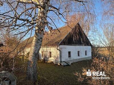 Haus kaufen in 4262 Dorf Leopoldschlag (Bild 5)