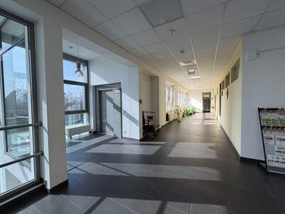 Gewerbeobjekt mieten in 8073 Feldkirchen (Bild 3)