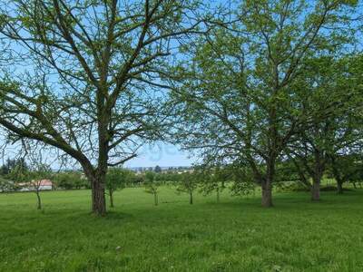 Grundstück kaufen in 7201 Neudörfl