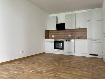 Anlageobjekt kaufen in 8054 Graz (Bild 3)