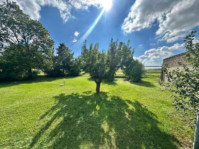 Haus kaufen in 2265 Drösing