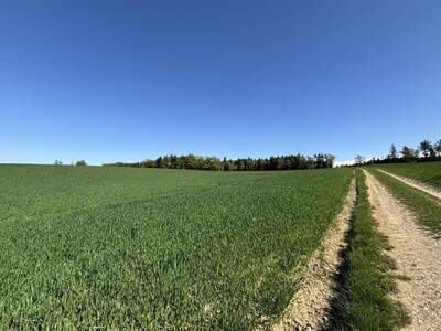 Land- und Forstwirtschaft kaufen in 4622 Eggendorf