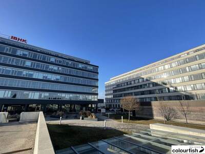 Gewerbeobjekt mieten in 1230 Wien (Bild 2)