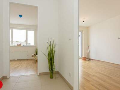 Terrassenwohnung mieten in 2320 Schwechat (Bild 5)