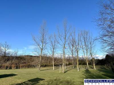 Haus mieten in 4600 Schleißheim (Bild 5)