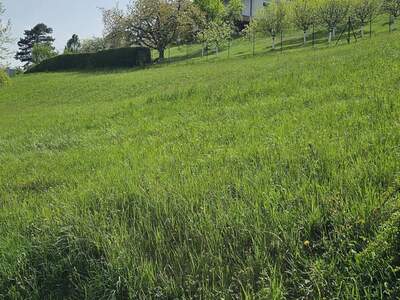 Grundstück kaufen in 8112 Gratwein (Bild 2)