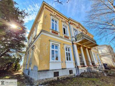 Haus kaufen in 2540 Bad Vöslau