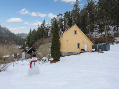 Haus mieten in 8692 Neuberg (Bild 4)