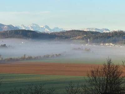 Wohnung kaufen in 4407 Dietach