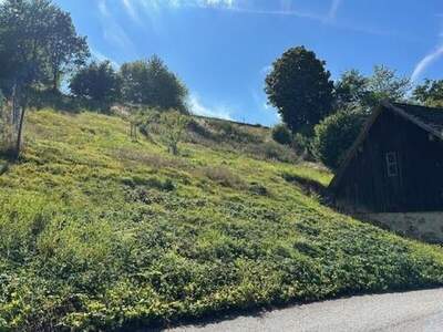 Grundstück kaufen in 3970 Weitra